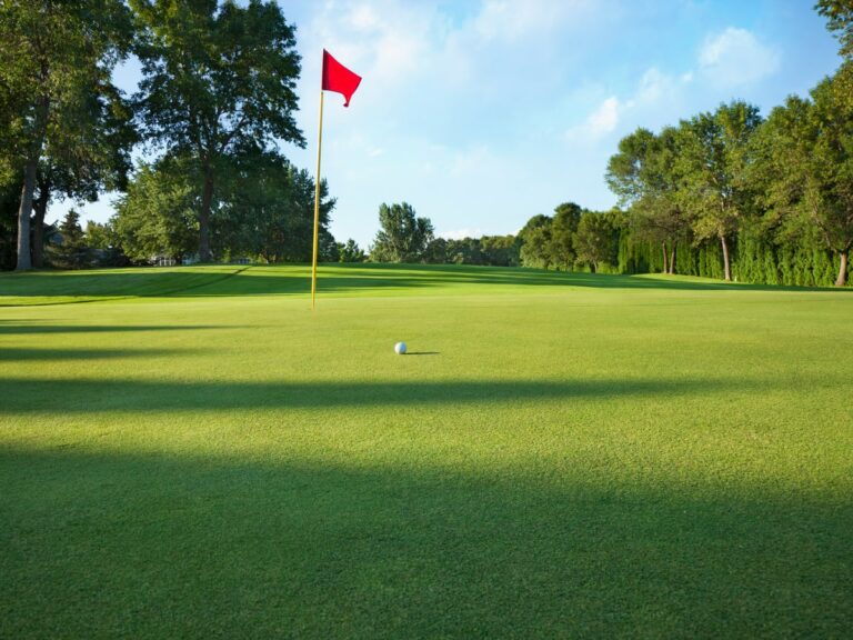 Golf Terms Explained [The Definitive Beginners Guide]